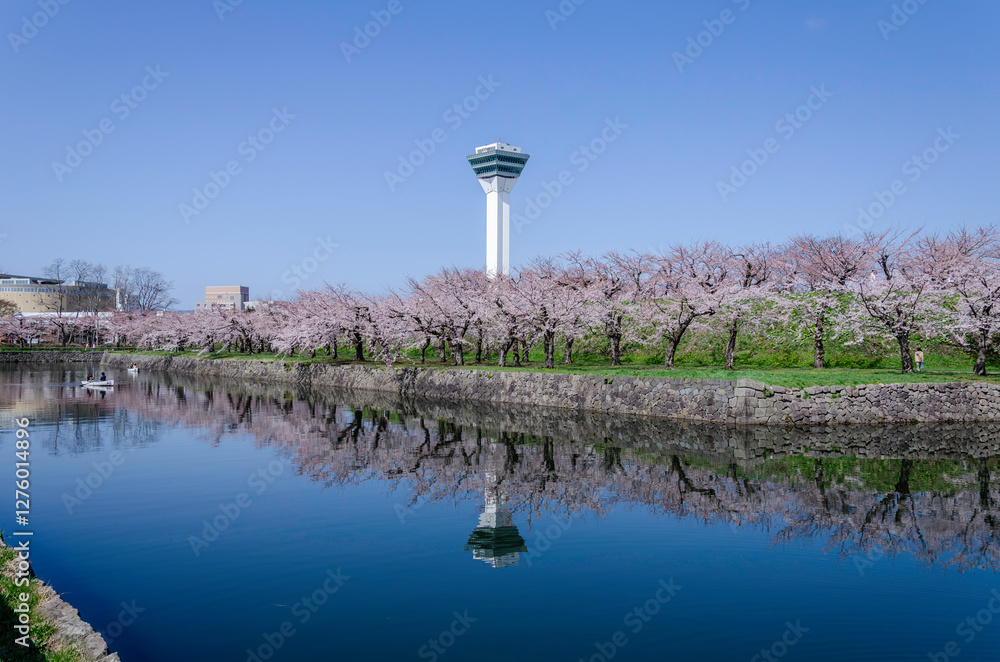 水面に映る満開の桜 水面に映る満開の桜