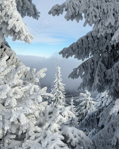 Piękny krajobraz zimowy w górach polskich. Góry Izerskie, widok ze Stogu Izerskiego, Dolny Śląsk, Polska. Beautiful winter landscape in the Polish mountains. Izera Mountains, view from Stog Izerski. photo