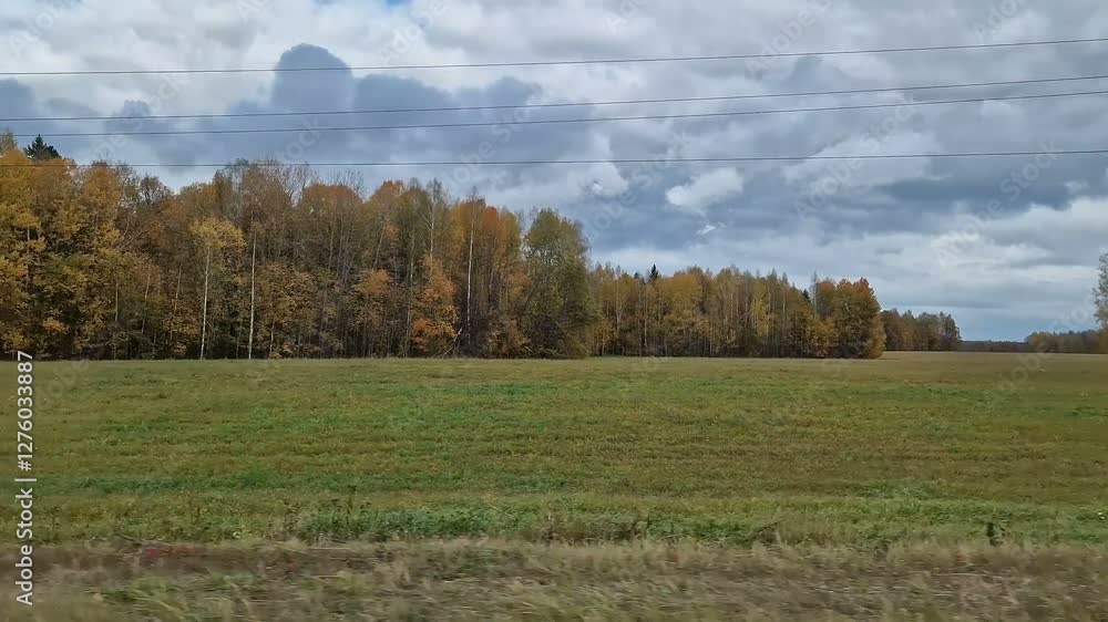 The car is walking along a scenic road. Dense forest near the highway. The car is walking along a scenic road. Dense forest near the highway.