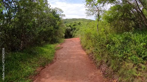 Walking in the woods