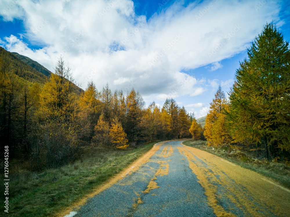 Obraz premium Route automnale