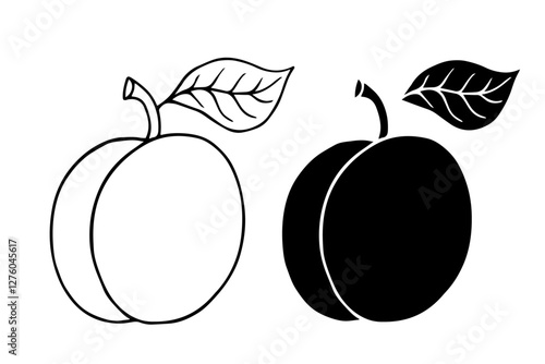 Line sketch,contour,silhouette of apricot fruits.Vector graphics.