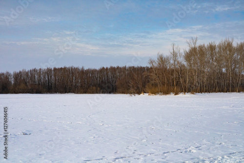 Wallpaper Mural winter landscape with trees Torontodigital.ca