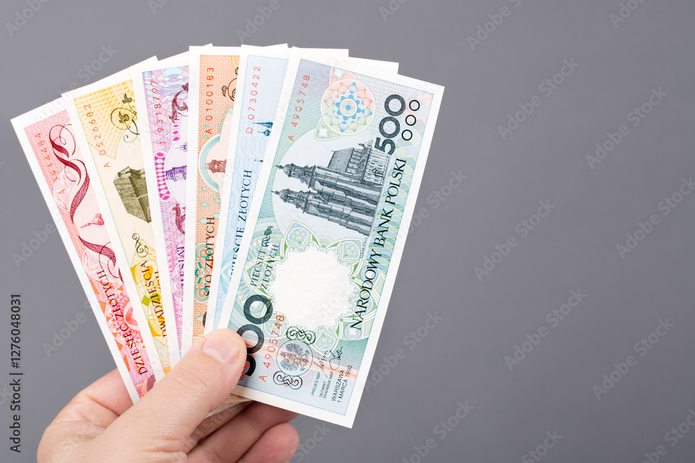 Old Polish Zloty in the hand on a gray background Old Polish Zloty in the hand on a gray background