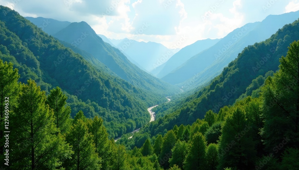 Fototapeta premium Dense forest covering the valley between mountains, foliage, nature