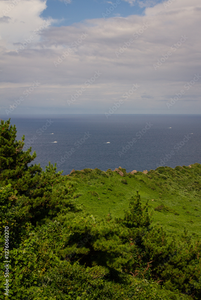 Scenic Coastal Overlook with Lush Greenery, Rocky Cliffs, and Expansive Ocean View from Hallasan Mountain Scenic Coastal Overlook with Lush Greenery, Rocky Cliffs, and Expansive Ocean View from Hallasan Mountain
