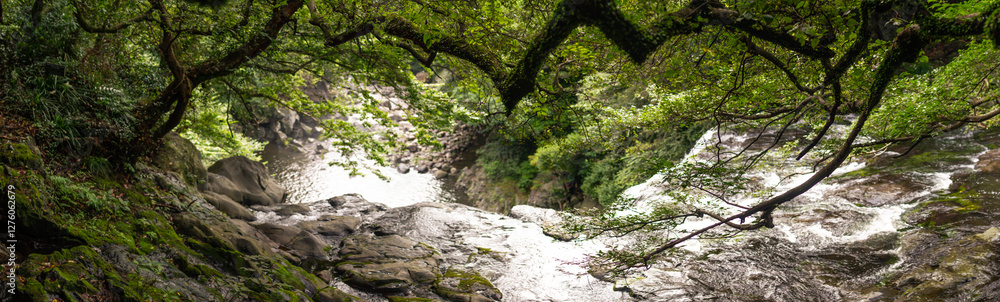 Lush Green Canopy Overhanging Cascading River Flowing Through Tranquil Forest Landscape Lush Green Canopy Overhanging Cascading River Flowing Through Tranquil Forest Landscape