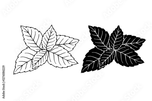 Line sketch,stamp,silhouette of aromatic mint leaves.Vector graphics.