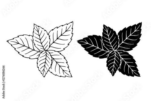 Line sketch,stamp,silhouette of aromatic mint leaves.Vector graphics.