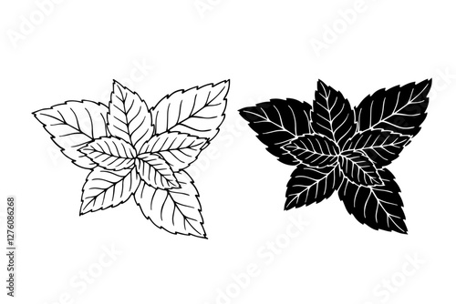 Line sketch,stamp,silhouette of aromatic mint leaves.Vector graphics.