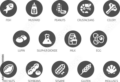 Food allergen allergy icons. include big 8 FDA Major Allergens and 14 food allergies from the EU Food Information for Consumers Regulation EFSA European Food Safety Authority Annex II
