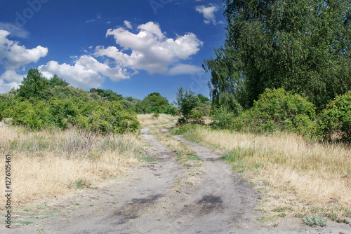 Obraz na płótnie old dirt road in field in heat sunny summer day w salonie