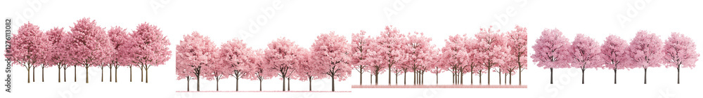 Rows of blossoming cherry trees lining a tranquil park path in spring their pink flowers framing a serene atmospheric landscape Rows of blossoming cherry trees lining a tranquil park path in spring their pink flowers framing a serene atmospheric landscape