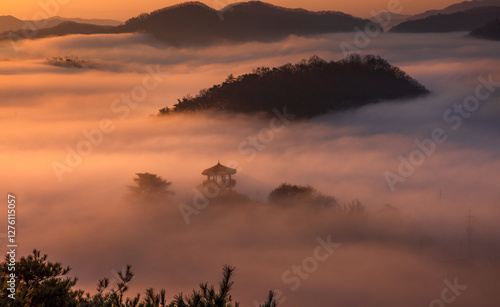 산,설경,구름,운해