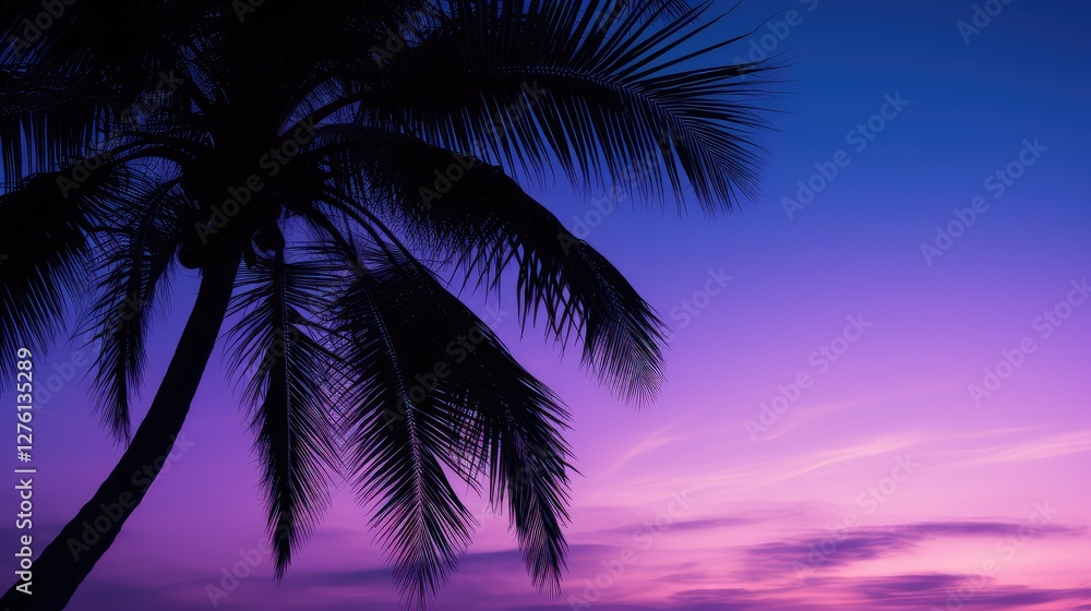 silhouette palm tree sky silhouette palm tree sky