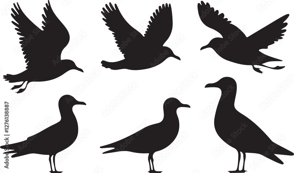 Obraz premium Seagull silhouettes