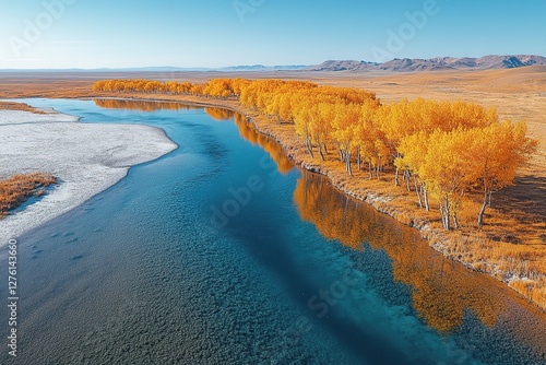 Populus euphratica forest