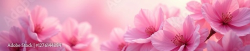 Rose-hued cloud, delicate pink blooms interwoven, texture, sweet, rose