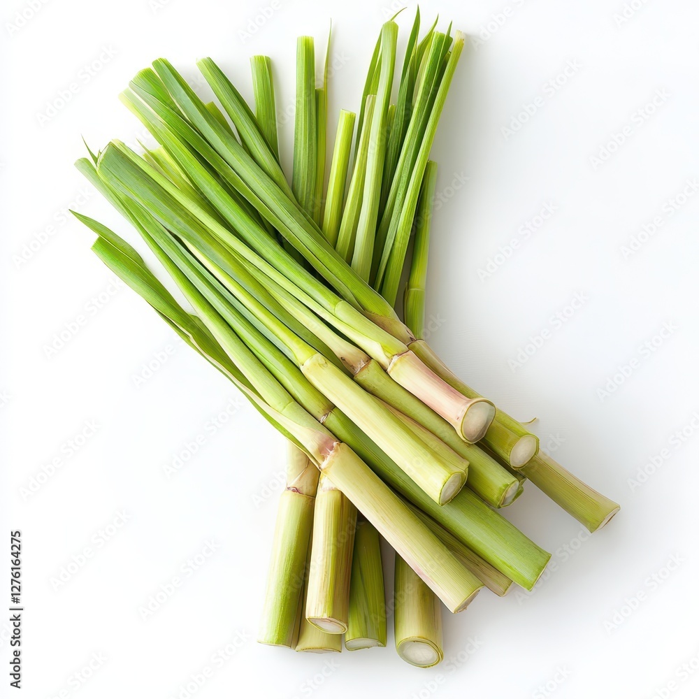 Fototapeta premium Fresh Green Sugarcane Stalks on White Background.