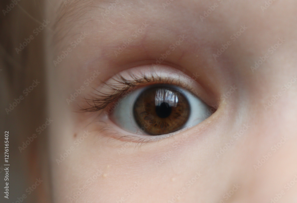 close up of female eye. child's brown eye macro. close up of female eye. child's brown eye macro.