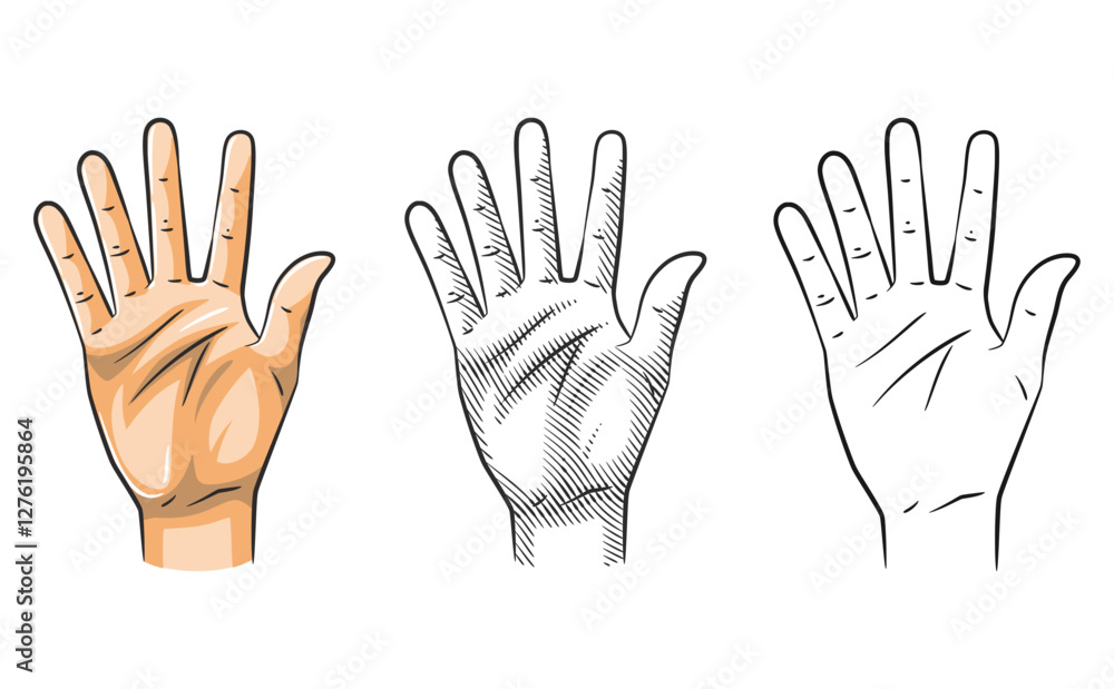 Fototapeta premium Hand Gesture Number Five Line Art Shaded Colored