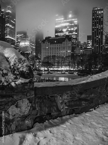 Gapstow Bridge in Central Park, after snow storm