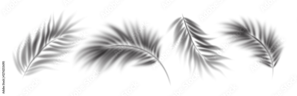 Fototapeta premium Elegant Palm Leaf Shadows Overlay Set on a White Background in Black and White. Beautiful palm leaf shadows cast on a plain white surface, creating a delicate texture. Vector Illustration