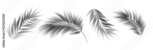 Elegant Palm Leaf Shadows Overlay Set on a White Background in Black and White. Beautiful palm leaf shadows cast on a plain white surface, creating a delicate texture. Vector Illustration