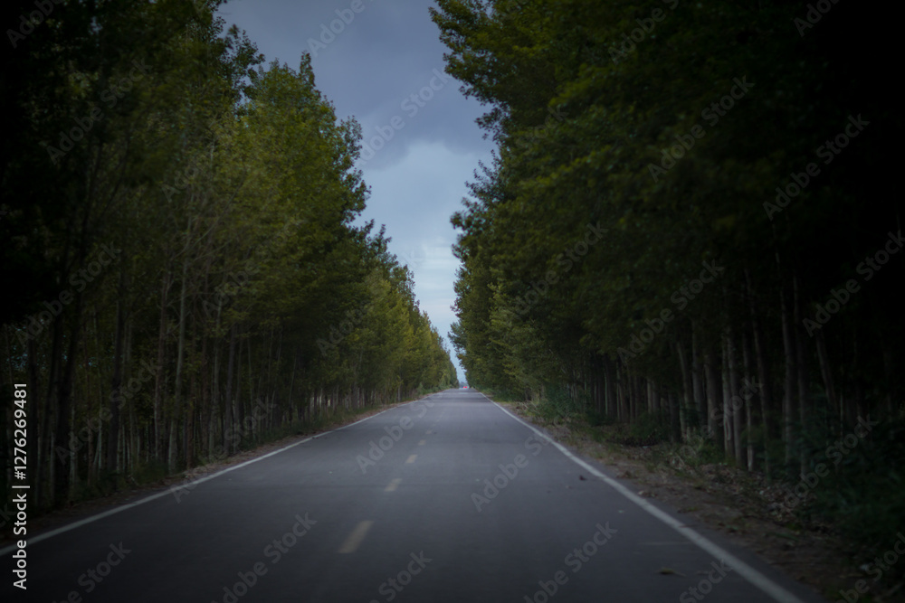 Obraz premium Expressways and national roads in Xinjiang, China
