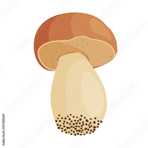 Porcini mushroom. Edible forest mushroom Hand drawn trendy flat style isolated icon. Fresh boletus. Autumn fungus. cep, penny bun, porcino. Botanical Vector illustration 