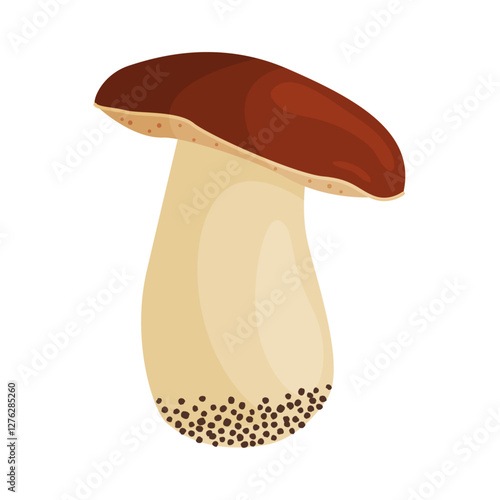 Porcini mushroom. Edible forest mushroom Hand drawn trendy flat style isolated icon. Fresh boletus. Autumn fungus. cep, penny bun, porcino. Botanical Vector illustration 