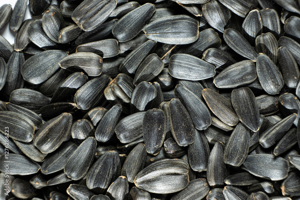 Heap of Roasted Sunflower Seeds Food Texture Top View Heap of Roasted Sunflower Seeds Food Texture Top View