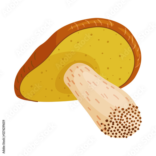 Suillus luteus, yellow mushroom. Edible forest fungus slippery jack or sticky bun. Suillus mushroom or yellow pig Hand drawn trendy flat style isolated icon. Vector illustration