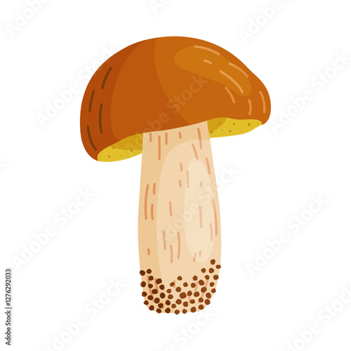 Suillus luteus, yellow mushroom. Edible forest fungus slippery jack or sticky bun. Suillus mushroom or yellow pig Hand drawn trendy flat style isolated icon. Vector illustration