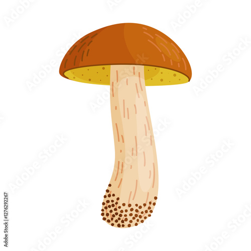 Suillus luteus, yellow mushroom. Edible forest fungus slippery jack or sticky bun. Suillus mushroom or yellow pig Hand drawn trendy flat style isolated icon. Vector illustration