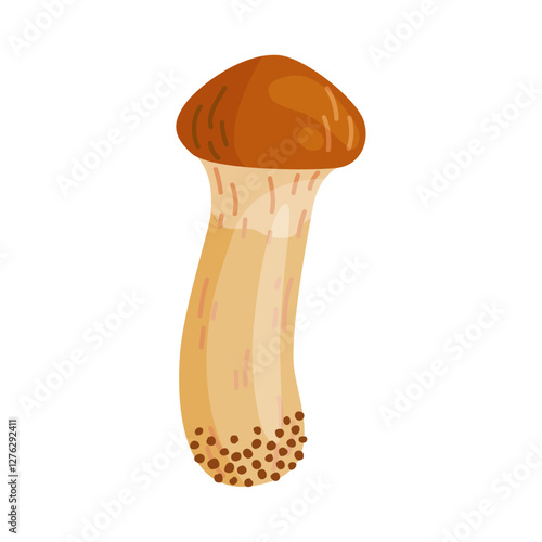 Small Suillus luteus, yellow mushroom. Edible forest fungus slippery jack or sticky bun. Suillus mushroom or yellow pig Hand drawn trendy flat style isolated icon. Vector illustration