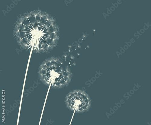 Obraz na płótnie Vector illustration of dandelion time. Beautiful realistic Dandelion seeds blowing in the wind. The wind inflates a dandelion isolated in an editable evening background. w salonie