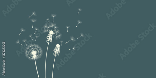 Obraz na płótnie Vector illustration of dandelion time. Beautiful realistic Dandelion seeds blowing in the wind. The wind inflates a dandelion isolated in an editable evening background. w salonie