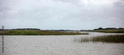 iSimangaliso Wetland Park South Africa. Reeds in the water, cloudy sky. Santa Lucia photo