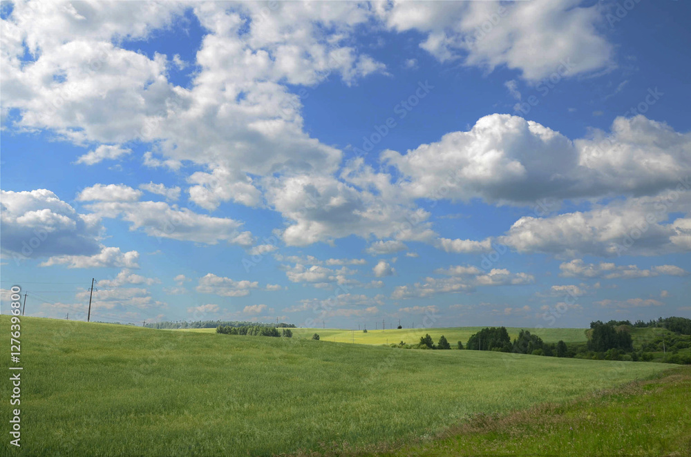 Green fields and trees, blue sky with clouds Green fields and trees, blue sky with clouds