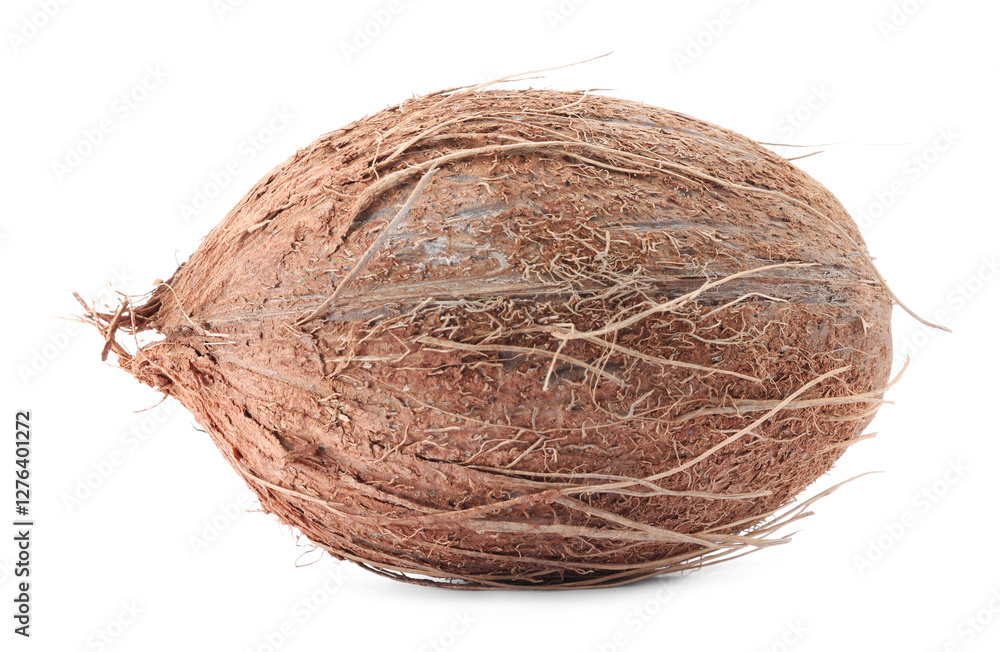 One whole coconut in shell isolated on white One whole coconut in shell isolated on white