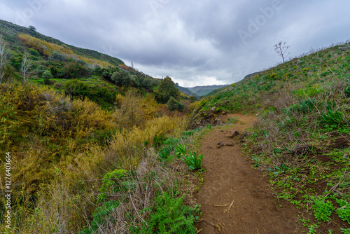 Obraz na płótnie El-Al Stream, Golan Heights w salonie
