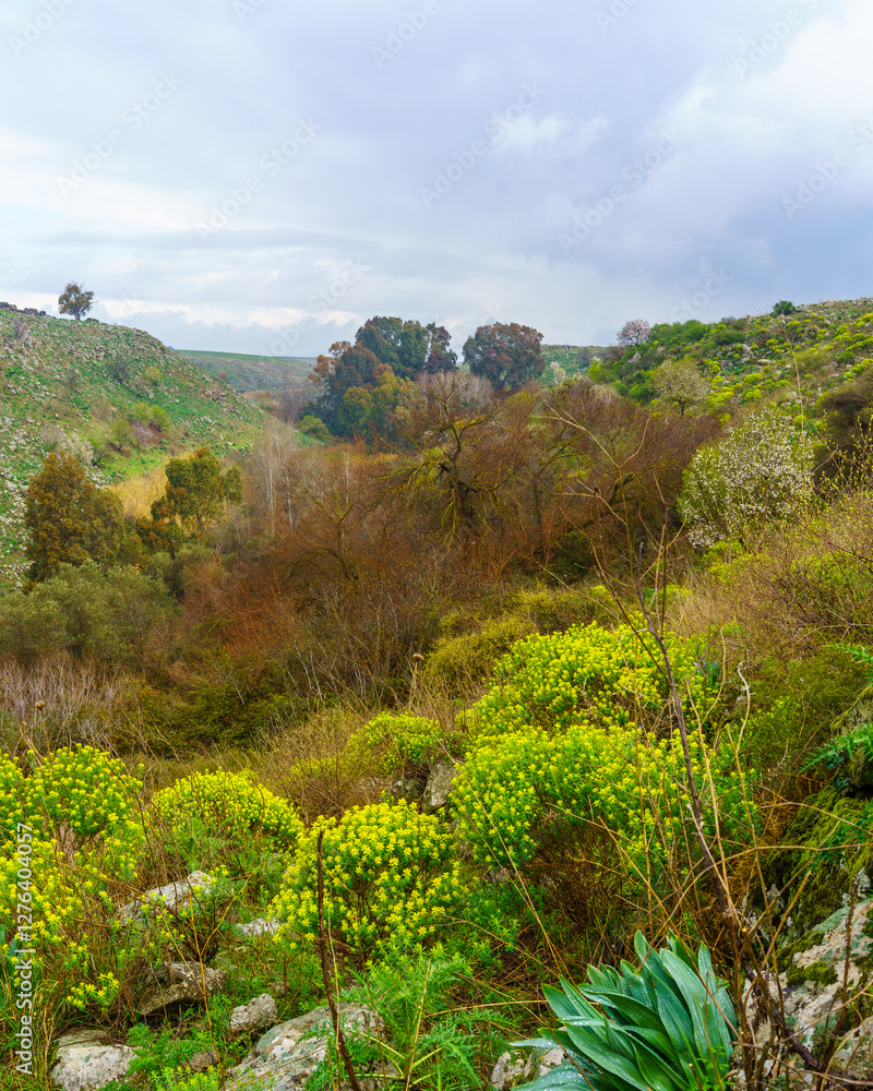 El-Al Stream, Golan Heights