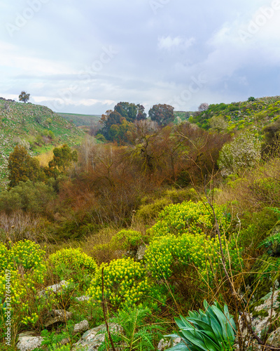 El-Al Stream, Golan Heights