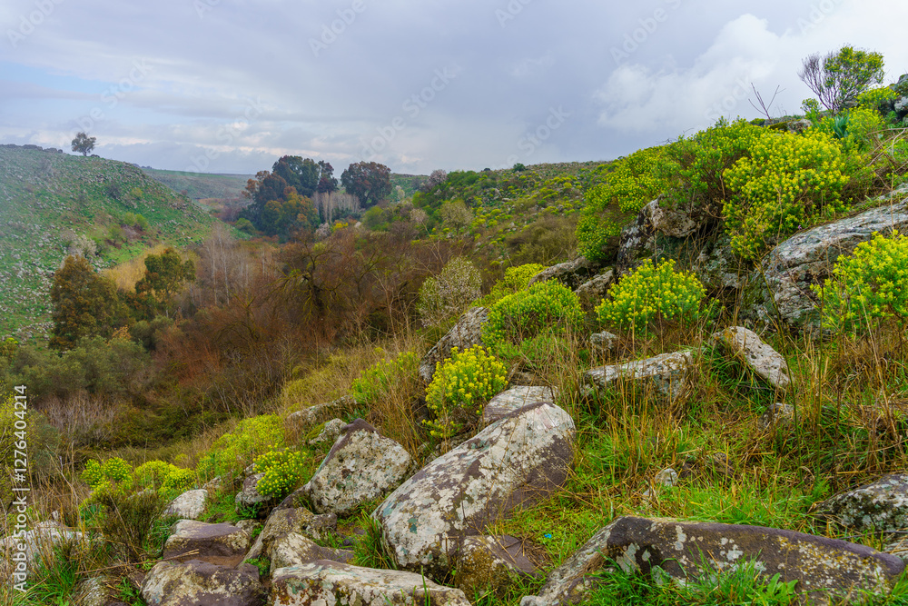 El-Al Stream, Golan Heights