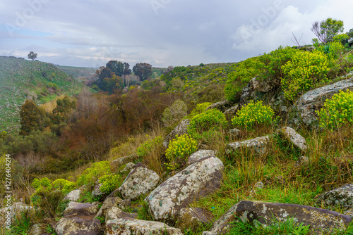 Obraz na płótnie El-Al Stream, Golan Heights w salonie