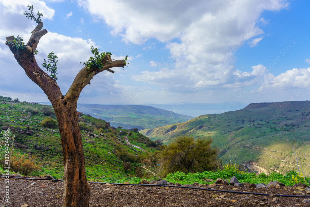 Golan Heights landscape, with Sea of Galilee