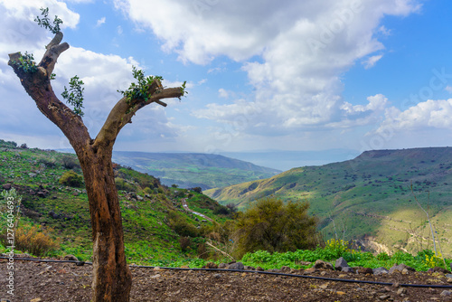 Obraz na płótnie Golan Heights landscape, with Sea of Galilee w salonie
