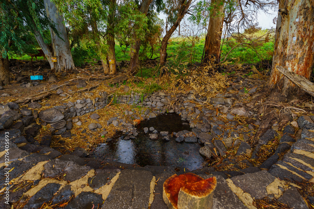 Ein Amphi Spring, in the Golan Heights
