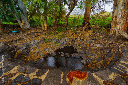 Obraz na płótnie Ein Amphi Spring, in the Golan Heights w salonie